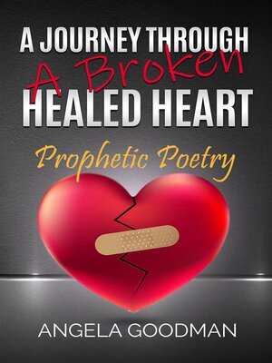 cover image of A Journey Through a Broken Healed Heart